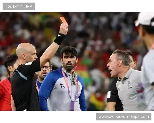 世界杯此组能否爆冷成为焦点